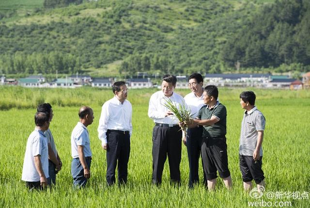 “平語”近人——從用典讀懂總書記的執政智慧